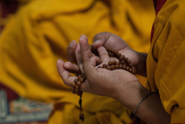 40474877752 0361fe048e z