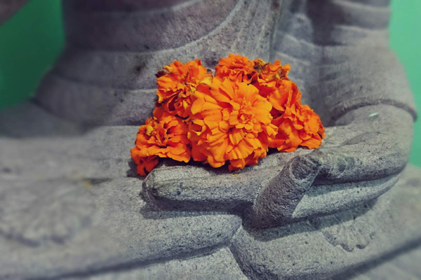 dharma song2 2
