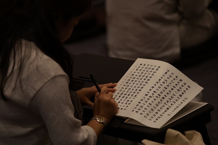 karmapa HS evening 16Aug2016 6