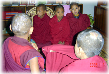skin-ill-lama1