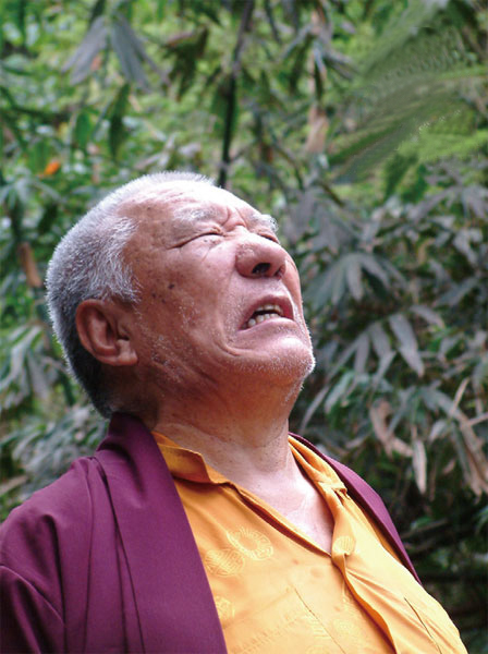 tsultrim rinpoche he21