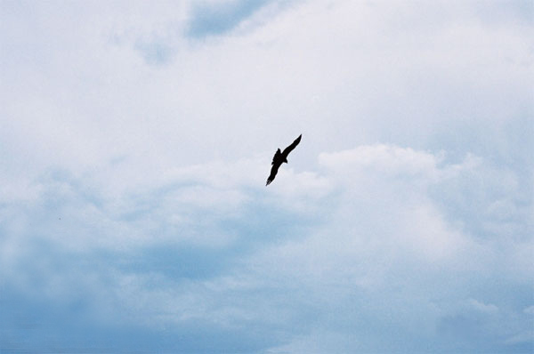 tsultrim rinpoche he22