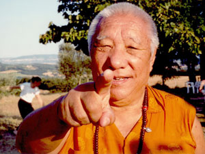 tsultrim rinpoche he39